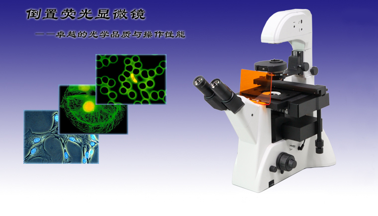 1688692681133915.jpg 1643177444.jpg